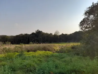 Fazenda / Sítio / Chácara em Umbara