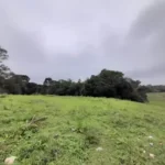 Lote / Terreno em Campina Da Barra