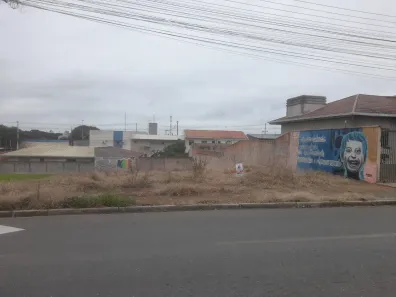 Lote / Terreno em Pioneiros